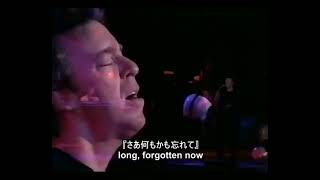 ボズ・スキャッグス - We&#39;re all alone（日本語字幕）