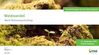 WTN Waldwandel