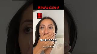 家中がカビだらけ