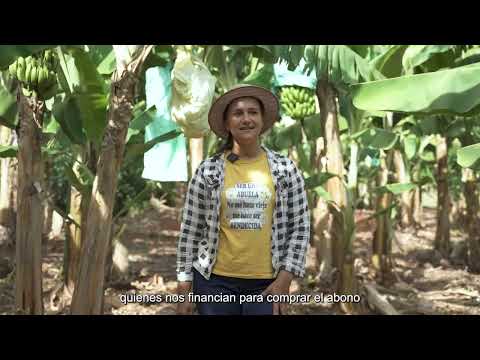 La fuerza de la mujer paraguaya: Soledad Rivas y su finca de banana en Tembiaporã