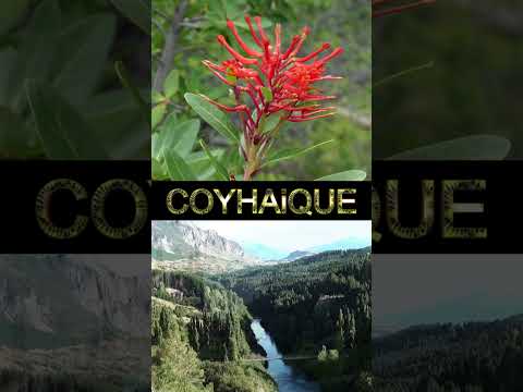 Corrido de Coyhaique Versión de Arturo Mañao Guenten  #coyhaique #aysén