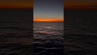 Senza parole l'ora blu in crociera con msc friend bernardo latini  #crociera #bluehour #senzaparole