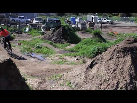 Specialized P.Bike - Bike Check