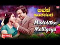 Mudiditha Malligeyu Video Song HD Avala Antharanga Roopa Devi Ashok Kannada Old Hit Song