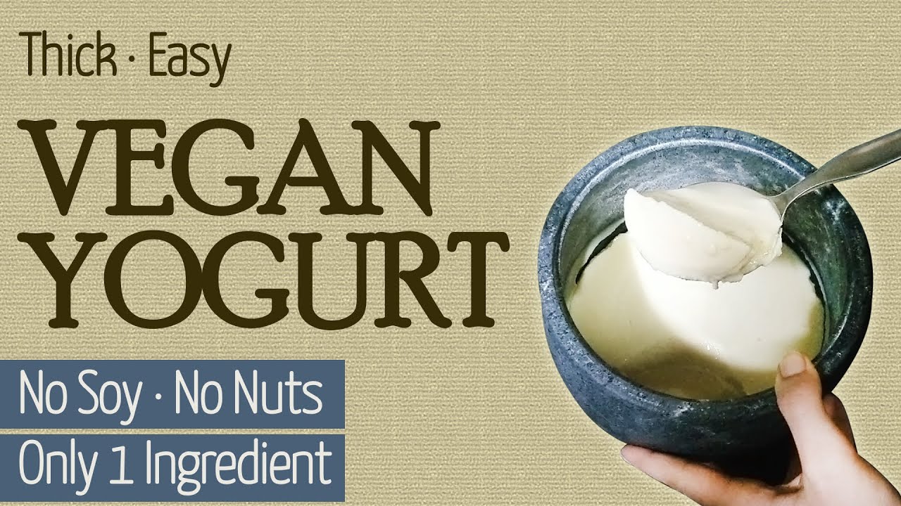 Chickpea Yogurt, Easy Thick Vegan Yogurt | Soy Free | Nut Free | Only 1 SINGLE INGREDIENT