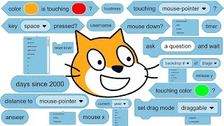 Sensing Block In Scratch || Scratch for beginner || Beast Scratch Project
