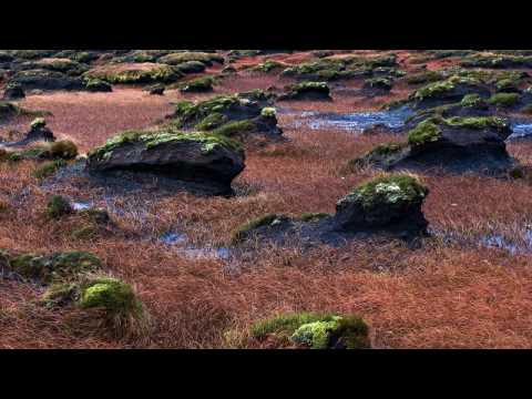 Bruni Bergeron - Downrising (Xgenic remix)