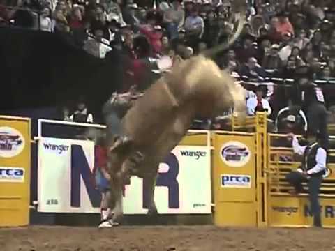 Zack Brown - 03 NFR, Rd 9 (95.5 pts)