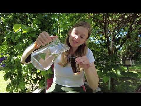 DMSO im Alltag - Wichtige Hinweise, Anwendung, Mischverhältnisse