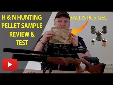 Best .22 Hunting Pellets | Using the BSA R10th vs Ballistics Gel | Review & Test |