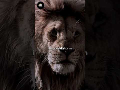 In a world where noise is abundant, the silent observer sees all.