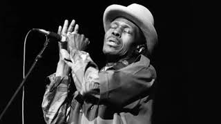 Junior Wells - I&#39;ll Take Care Of You