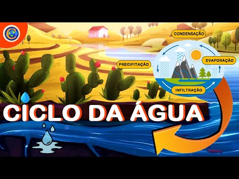CICLO DA ÁGUA - VOCÊ PRECISA SABER DISSO!