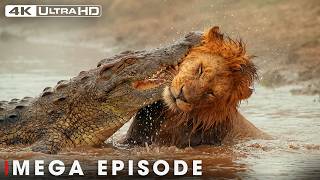 Powerful Hunters MEGA EPISODE | World's Deadliest Battles | Wildlife Documentary