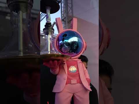 SHISHAMESSE 2024 | HISPACACHIMBA