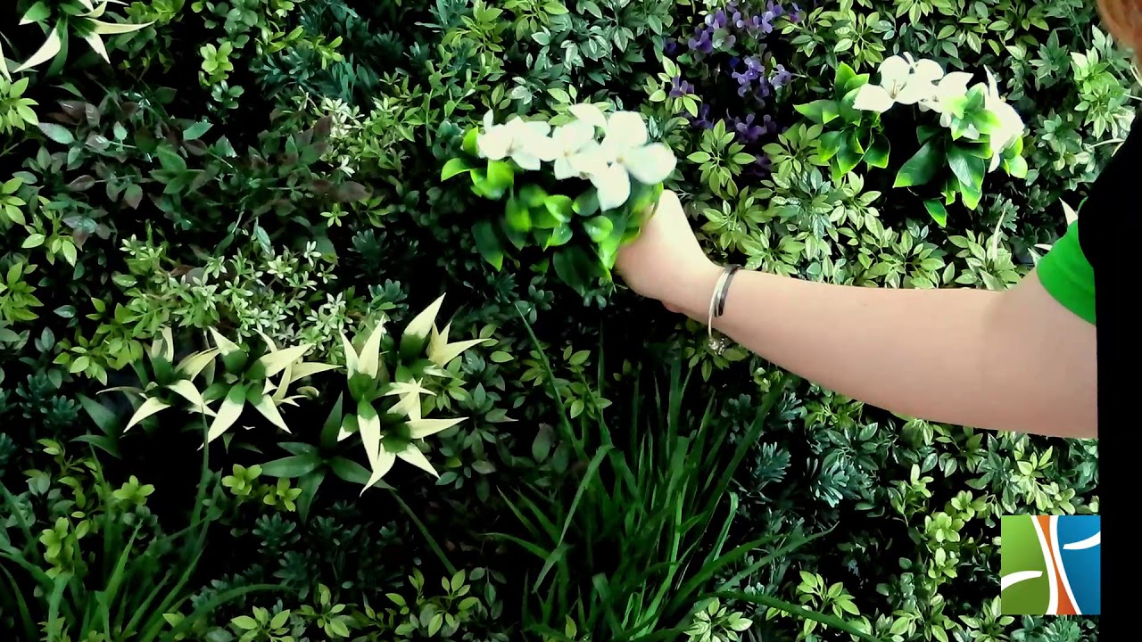 Learn How to Customise Your Own Artificial Vertical Garden