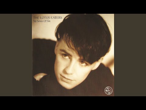 The First Picture of You