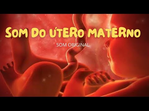Som do útero para recém Nascidos  - SOM DO ÚTERO MATERNO - SEM ANÚNCIOS