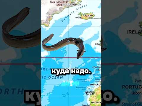 Они точно что-то скрывают