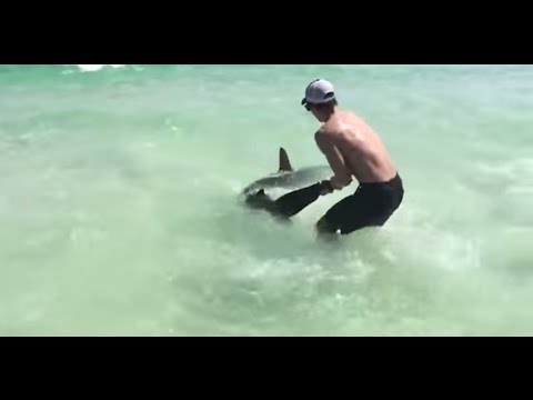 Brothers Save Hammerhead Shark Destin, FL 2015