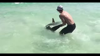 Brothers Save Hammerhead Shark Destin, FL 2015