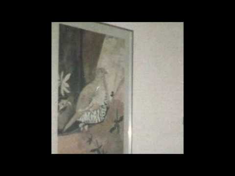 05. Greaf - What Else Is There