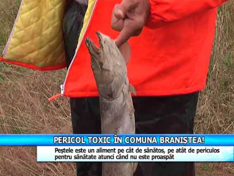 Pericol toxic in comuna Braniştea