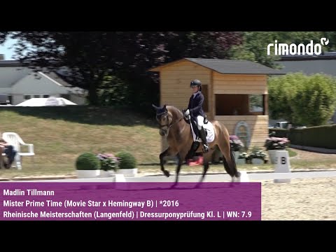 BuCha-Quali Rheinische Meisterschaften Langenfeld – Madlin Tillmann & Mister Prime Time