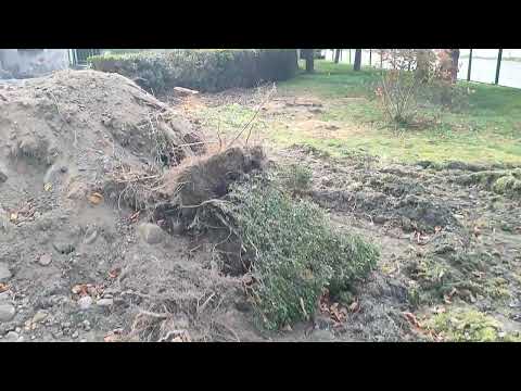 1686 Biała Nyska (Nyska)