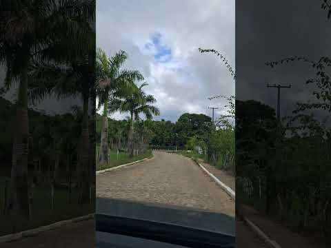 🌿 Rumo à Usina de Arte | Estrada de Paralelepípedo em Água Preta – PE 🛣️