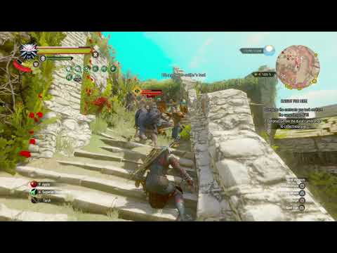 The Witcher 3: Wild Hunt Tank Build