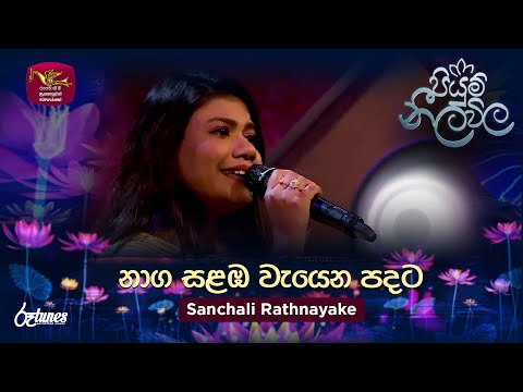 Naga Salamba | නාග සළඹ වැයෙන පදට | Sanchali Rathnayake | Piyum Neela Vila | Roo Tunes