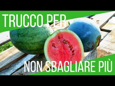 Essa conduce alla prostatite Massaggio prostatico porno, video e finitura