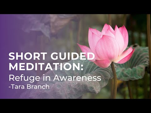 Short Guided Meditation: Refuge in Awareness with Tara Brach