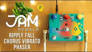 Video thumbnail for JAM Pedals Ripply Fall Chorus Vibrato Phaser by Pedal of the Day