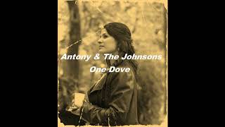 Antony &amp; The Johnsons   One Dove