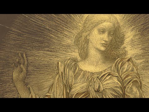 CORONAVIRUS | Pavos reales en pleno Madrid | Diario AS