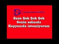 Sinan Akçıl - Hoppala (Şarkı Sözleri-Lyrics) 
