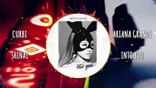 Curbi vs Ariana Grande - Shinai vs Into You (SteDeeKay Mashup) [FREE DOWNLOAD]