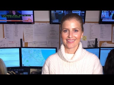 Good Morning Gold Coast - Tuesday 30 July 2019