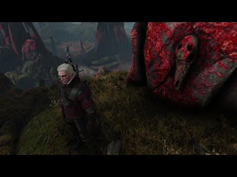 The Witcher 3: Wild Hunt pt.155-Through Time and Space