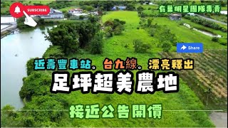 6XX萬buy專任⭐️近壽豐車站⭐️水光山色優美千坪農地📲0915-162-176（出價談）🧙‍♀️小魔女等您來電