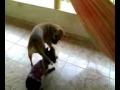 Faniquita E Danger