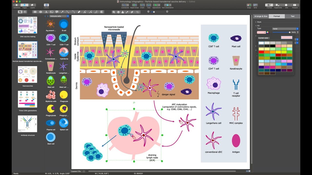 Immunology Diagrams and Infographics