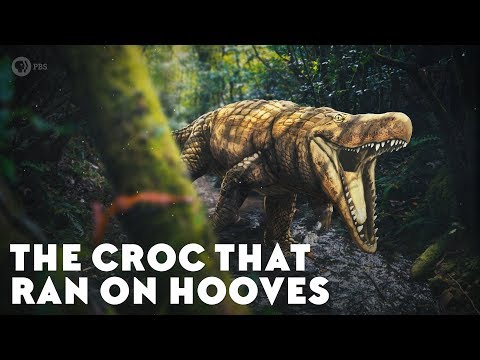 The Croc That Ran on Hooves