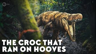 Удочка отвесного блеснения swd crocodile b2