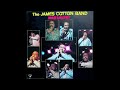The James Cotton Band – Caldonia