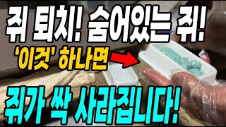 쥐퇴치! 숨어있는 쥐까지 이것 하나면 싹 사라집니다! 쥐가 잘 물어가는 쥐약!
