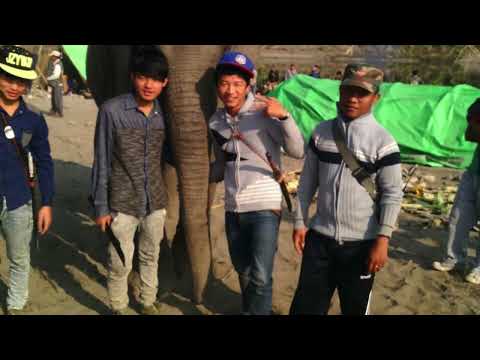 Ting Gaw Naw Seng - Jinghpaw Buga