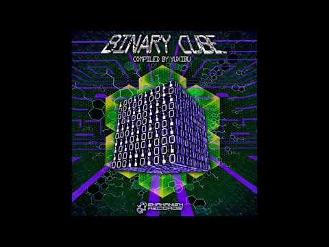 Ramarim - Inside Experience 190 (V​.​A. BINARY CUBE)